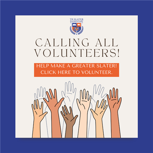 Volunteer